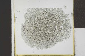 Plane Polarized, S23993