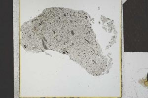 Plane Polarized, S24006
