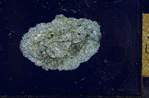 Cross Polarized, S24014