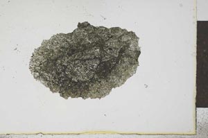 Plane Polarized, S24014