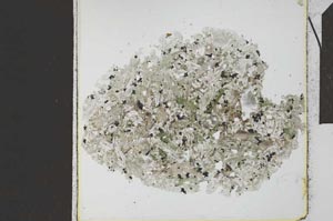 Plane Polarized, S24021