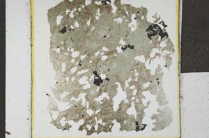 Plane Polarized, S24023