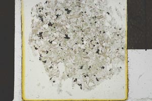 Plane Polarized, S24025