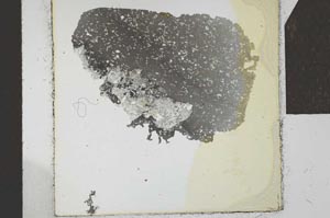 Plane Polarized, S24034