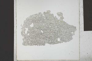 Plane Polarized, S24035