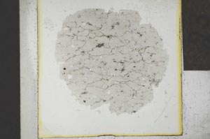 Plane Polarized, S24042