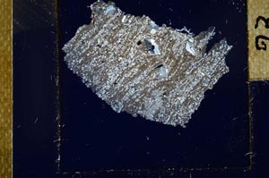 Cross Polarized, S24043
