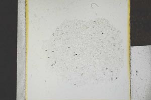 Plane Polarized, S24058