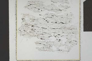 Plane Polarized, S24059