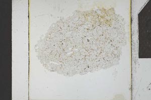Plane Polarized, S24062