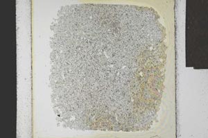 Plane Polarized, S24104