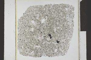 Plane Polarized, S24105