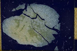 Cross Polarized, S24143