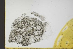 Plane Polarized, S24168