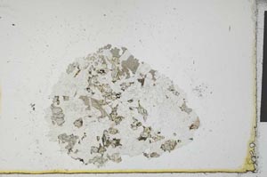 Plane Polarized, S24171