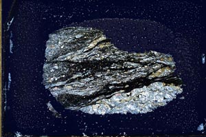 Cross Polarized, S24172