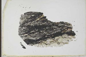 Plane Polarized, S24172