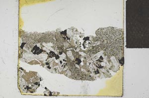 Plane Polarized, S24174