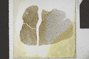 Plane Polarized, S24178