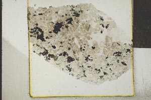 Plane Polarized, S24244