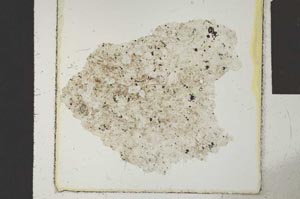 Plane Polarized, S24245