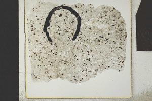 Plane Polarized, S24248
