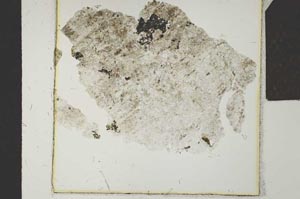 Plane Polarized, S24249