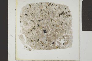 Plane Polarized, S24254