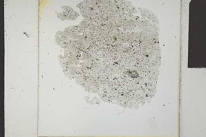 Plane Polarized, S24265