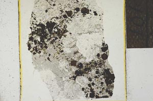 Plane Polarized, S24271