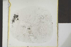 Plane Polarized, S24272