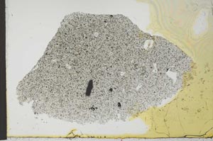 Plane Polarized, S24332