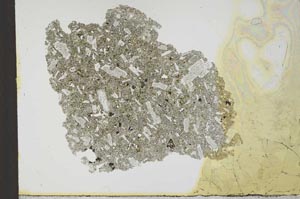 Plane Polarized, S24333