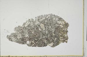Plane Polarized, S24335