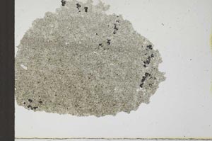 Plane Polarized, S24338