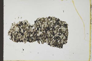 Plane Polarized, S24341