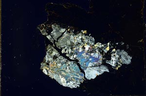 Cross Polarized, S24359