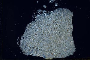 Cross Polarized, S24398