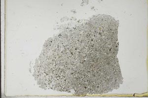 Plane Polarized, S24398