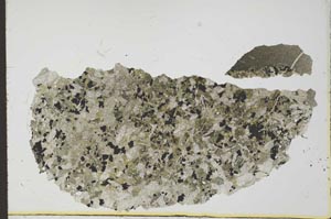 Plane Polarized, S24404