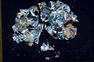 Cross Polarized, S24409