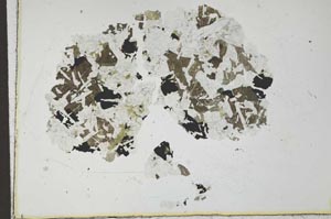 Plane Polarized, S24409