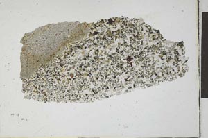 Plane Polarized, S24419