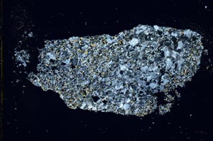 Cross Polarized, S24420