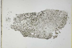 Plane Polarized, S24420