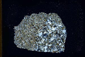 Cross Polarized, S24422