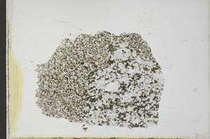 Plane Polarized, S24422