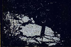 Cross Polarized, S24485