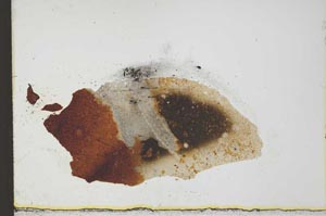 Plane Polarized, S24489