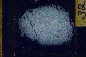 Cross Polarized, S24496